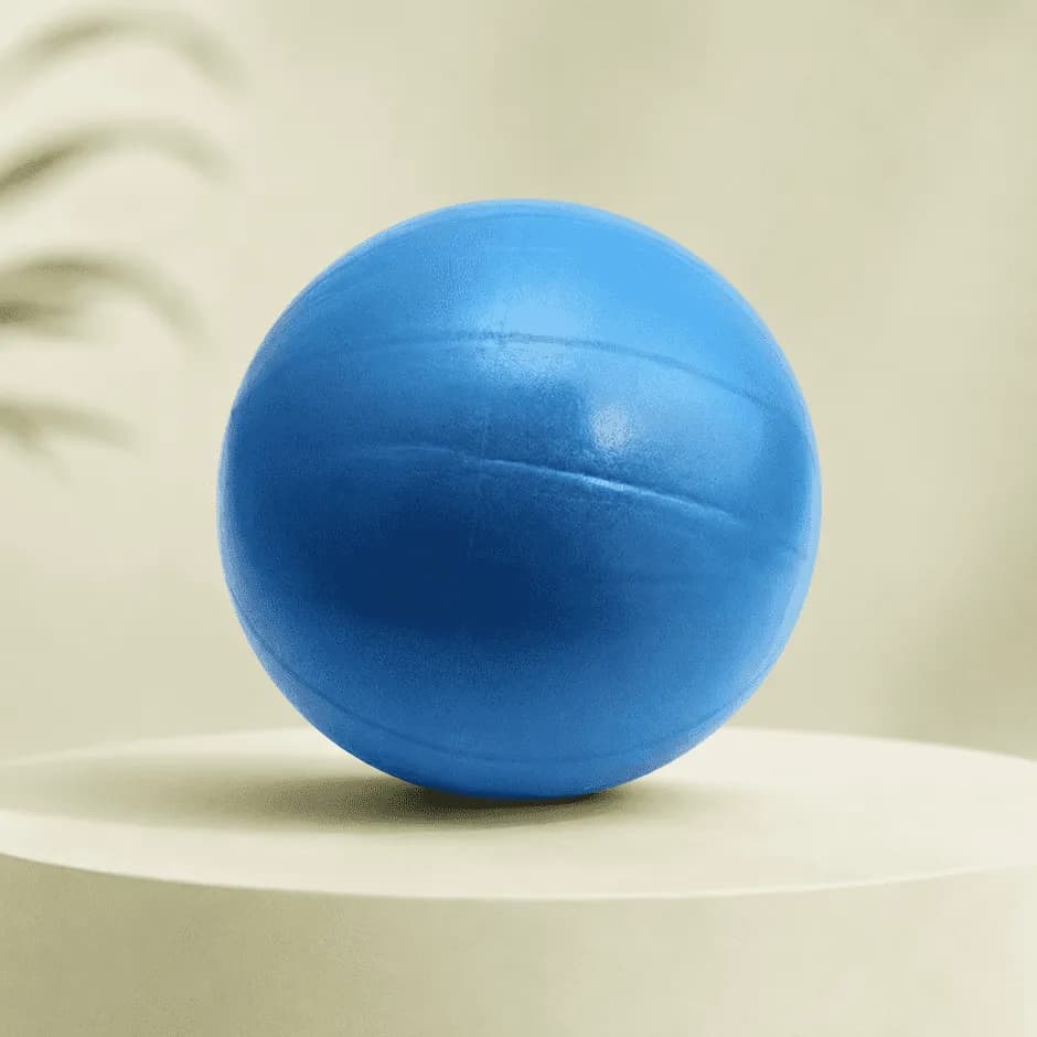 Rehabilitation Ball 3